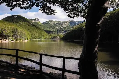 Camino acceso
