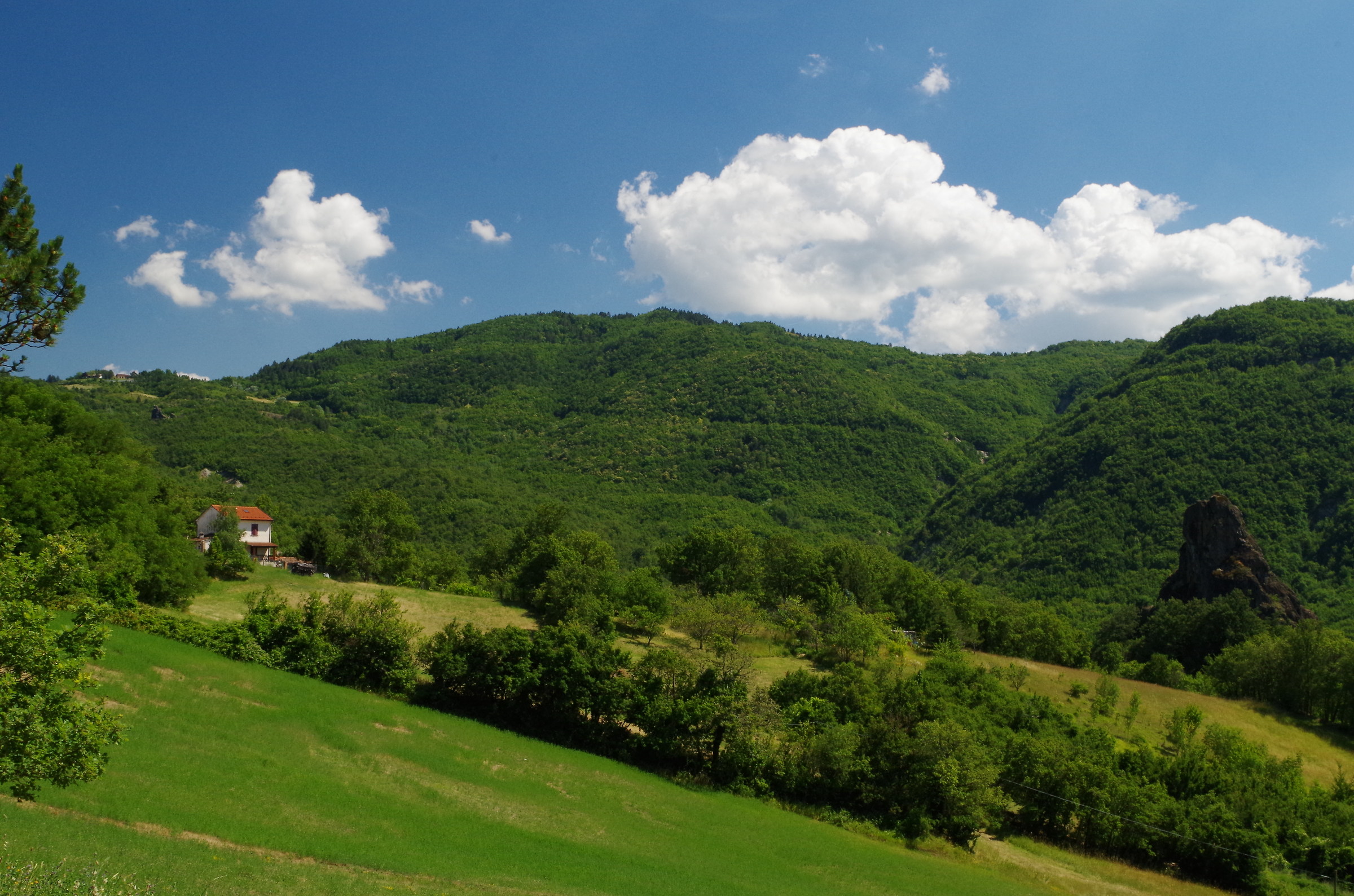 Degustazione di vini